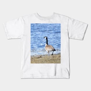 Canada Goose in Malheur NWR Kids T-Shirt